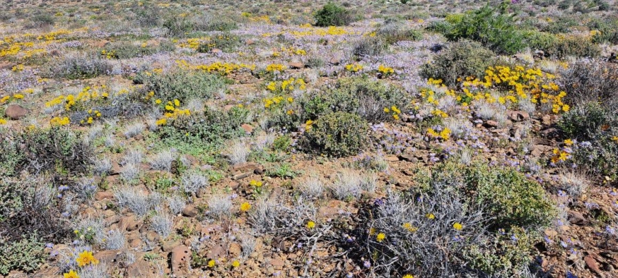 5 Bedroom Property for Sale in Laingsburg Rural Western Cape